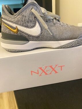 Zoom LeBron NXXT Gen